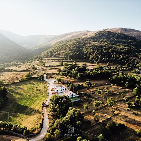 Tenuta Bianca Agriresort Sanza Eksteriør bilde